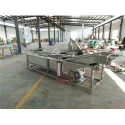 诸城国邦机械 蔬菜气泡清洗机 蔬菜气泡清洗机