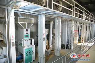 代县雁门关乡小杂粮加工厂建成投产