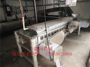 鸽子宰杀脱毛机鑫润机械生产销售