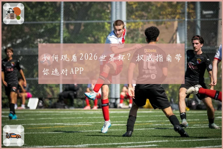 如何观看2026世界杯？权威指南带你选对APP