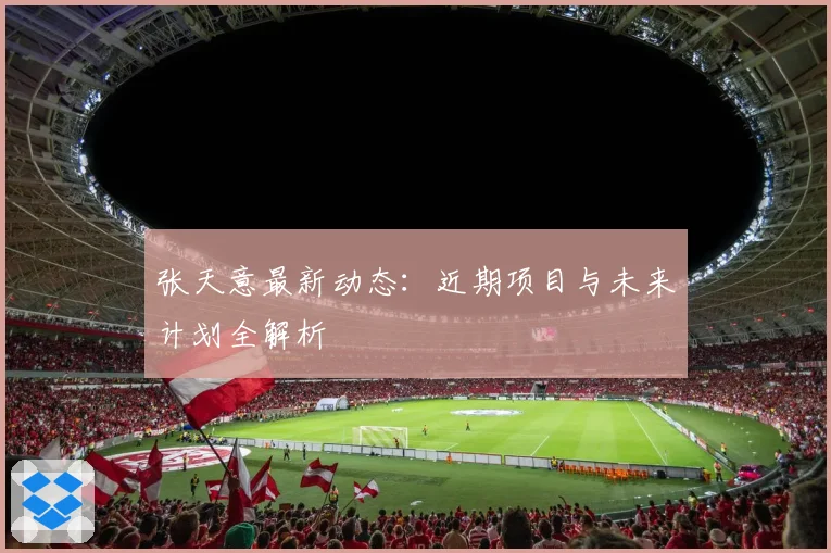 张天意最新动态：近期项目与未来计划全解析