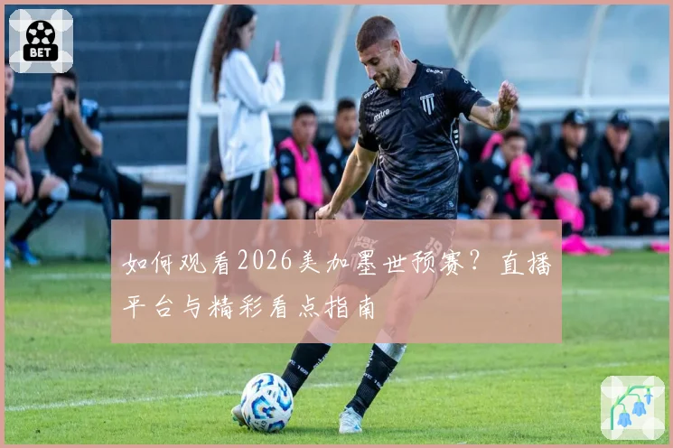 如何观看2026美加墨世预赛？直播平台与精彩看点指南