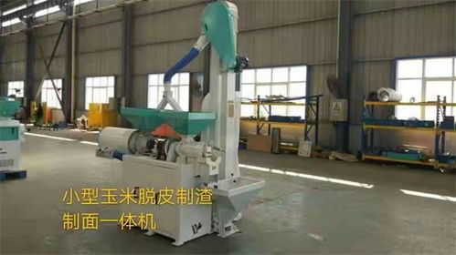 玉米精选设备销售 玉米精选设备 工联粮油机械产品